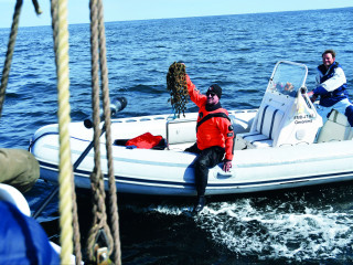Projekt Geisternetze: Taucher bergen erneut Netze aus der Nordsee