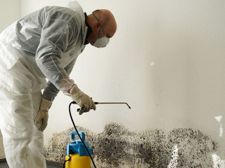 Karlsruhe stärkt Vermieter: Kündigung wegen Verwahrlosung ist rechtens, wenn Substanzgefährdung droht – auch bei langjähriger Mietdauer.