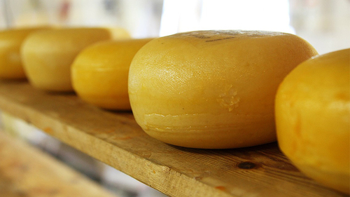 Käse-2785-PB-PublicDomainPictures.jpg