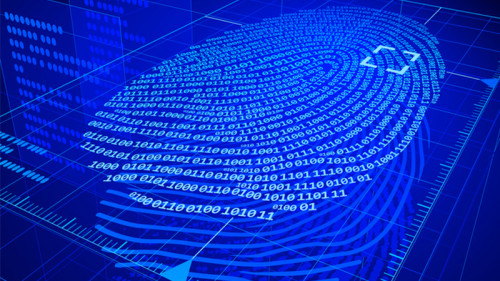 DigitalerFingerabdruck-71148129-FO-polygraphus