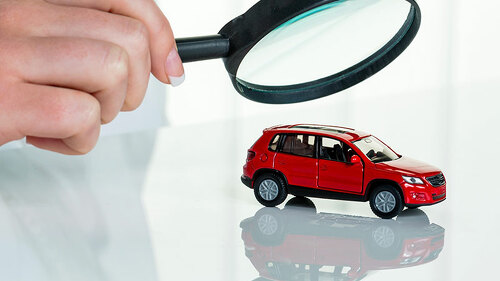 AutoLupe-93892640-FO-Gina-Sanders