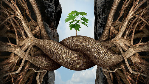 BaeumeWurzelnZusammen-78267181-FO-freshidea