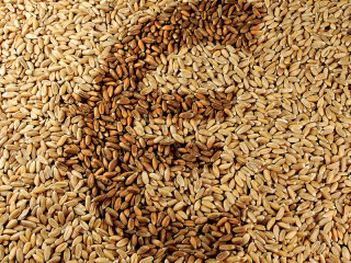 EuroformInWeizen-37447483-FO-elypse