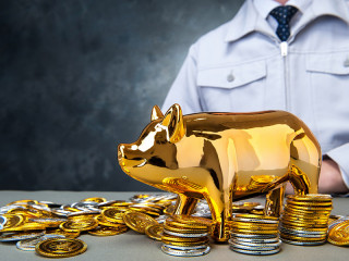 sparschwein-geld-muenzen-94759296-FO-beeboys