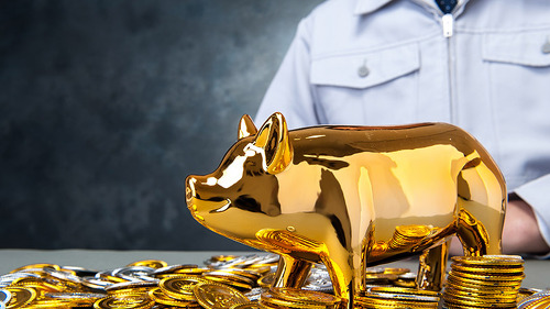 sparschwein-geld-muenzen-94759296-FO-beeboys