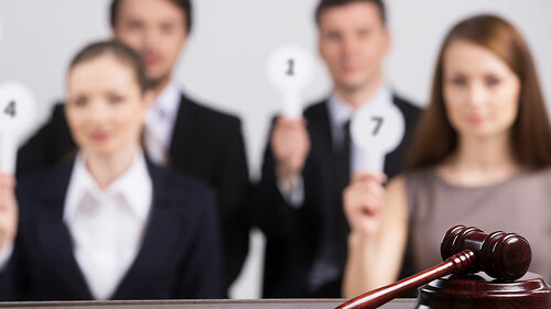 Versteigerung-61348449-FO-BlueSkyImages