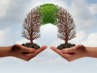 Kooperation-89845202-FO-freshidea