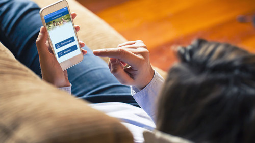 MannHandyFacebook-89922559-FO-daviles