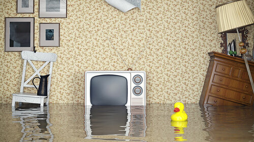 Wohnzimmer-Flut-66014812-FO-victor-zastol'skiy