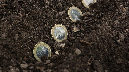 Euro-anpflanzen-85552508-FO-skatzenberger