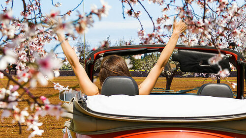 rotes-cabriolet-offen-52448110-FO-tournee