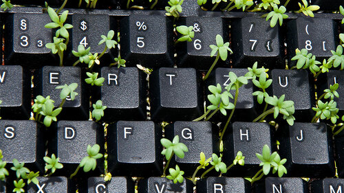 Kresse-aus-Tastatur-43175798-FO-HandmadePictures