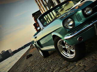 mustang-shelby-reblica-101938443-FO-stockerholt