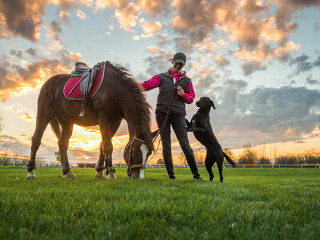 pferd-hund-und-besitzer-73456718-FO-Dusan-Kostic