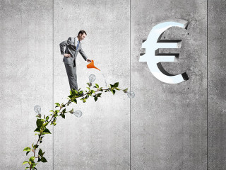 Mann-Gießkanne-Pflanze-Eurozeichen-102481242-FO-Sergey-Nivens