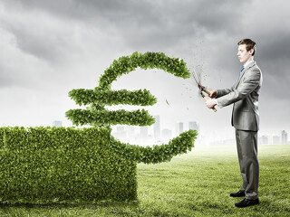 mann-schneidet-euro-aus-hecke-61606646-FO-Sergey-Nivens