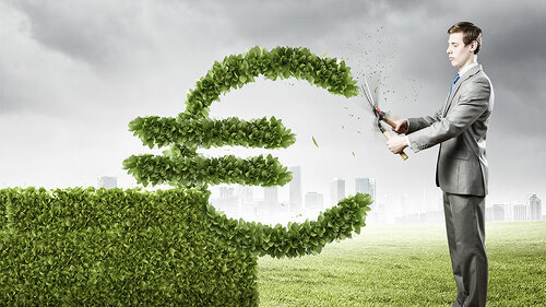 mann-schneidet-euro-aus-hecke-61606646-FO-Sergey-Nivens