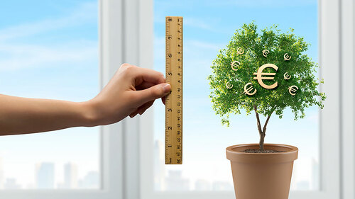Hand-haelt-Lineal-an-Euro-Baum-60170164-FO-Sergey-Nivens