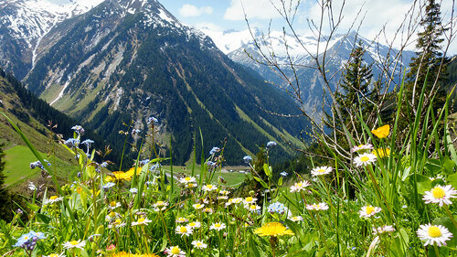Alpen-Panorama-83459452-FO-by-paul