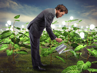 Anzugtraeger-gießt-Gluebirnen-Straeucher-83759099-FO-alphaspirit