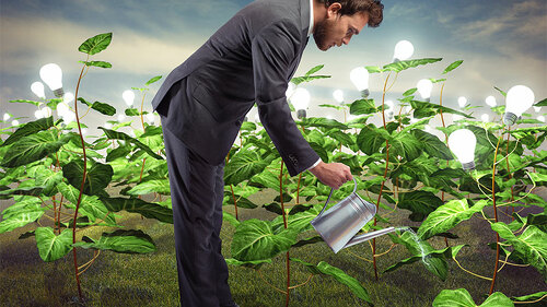 Anzugtraeger-gießt-Gluebirnen-Straeucher-83759099-FO-alphaspirit