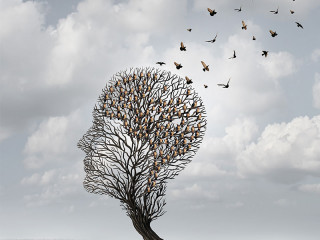 kopf-aus-baum-voegel-92848083-FO-freshidea