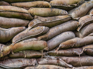 Sandsaecke-gestapelt-109292980-FO-ReinhardT