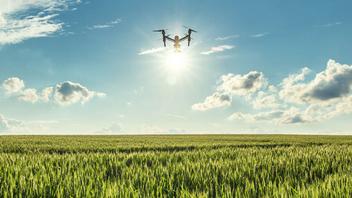 Drohne-ueber-Wiese-112050929-FO-ValentinValkov