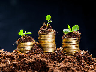 Triebe-auf-Muenzstapeln-Erde-111756683-FO-fotofabrika