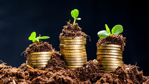 Triebe-auf-Muenzstapeln-Erde-111756683-FO-fotofabrika