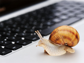 Schnecke-auf-Laptop-22253926-FO-Jasmin-Merdan