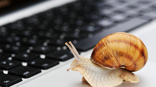 Schnecke-auf-Laptop-22253926-FO-Jasmin-Merdan