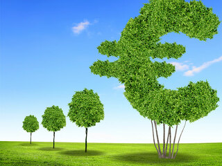 euro-baum-gruen-43849173-FO-Sergey-Nivens