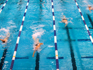 Vier-Schwimmer-im-Becken-659903-PB-skeeze