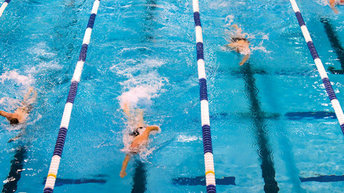 Vier-Schwimmer-im-Becken-659903-PB-skeeze