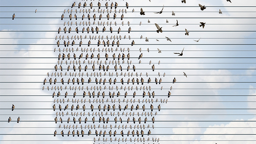 Alzheimer-Voegel-bilden-Kopf-87447691-FO-freshidea