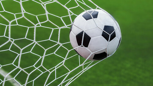 Netz-Fußball-86418998-FO-anekoho