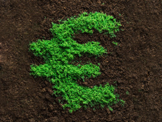 Euro-aus-Pflaenzchen-101705000-FO-pogonici