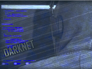darknet-daten-laptop-85368770-FO-Niko-Enders
