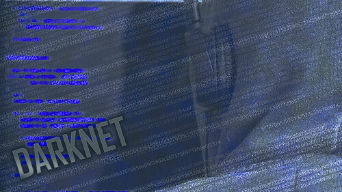 darknet-daten-laptop-85368770-FO-Niko-Enders