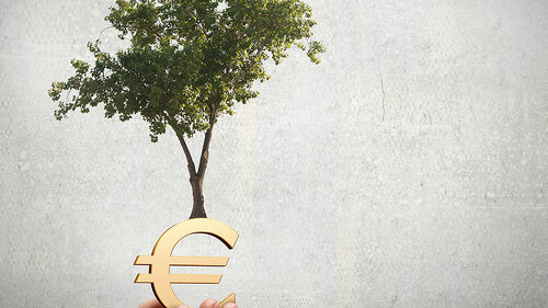 baum-auf-euro-oeko-70137781-FO-Sergey-Nivens