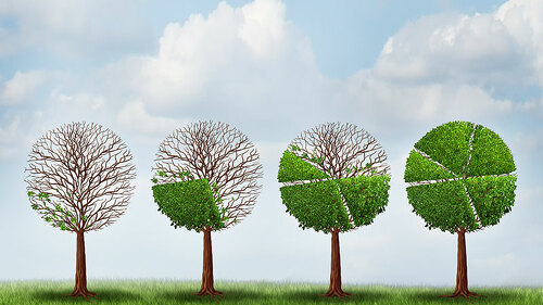 Baeume-Prozente-81124067-FO-freshidea