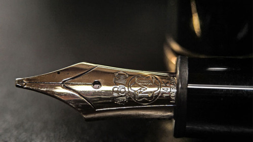 Fueller-1499166-PB-WolfBlur