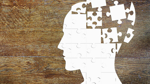 kopf-weiß-aus-puzzleteilen-91116618-FO-Alex-Po