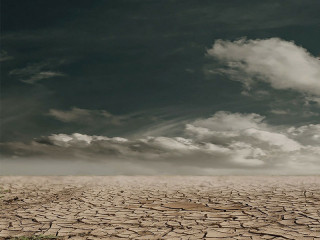 wueste-279862-pb-marion