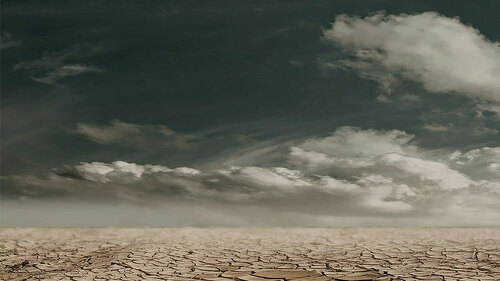 wueste-279862-pb-marion