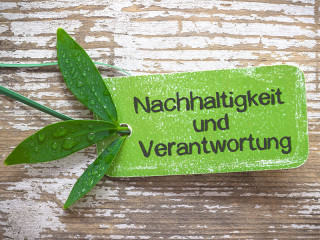 blatt-nachhaltigkeit-79363874-fo-stockpics