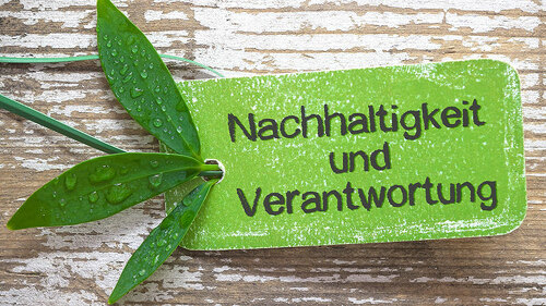 blatt-nachhaltigkeit-79363874-fo-stockpics