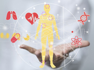 hand-koerper-health-102097920-fo-vege