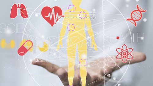 hand-koerper-health-102097920-fo-vege